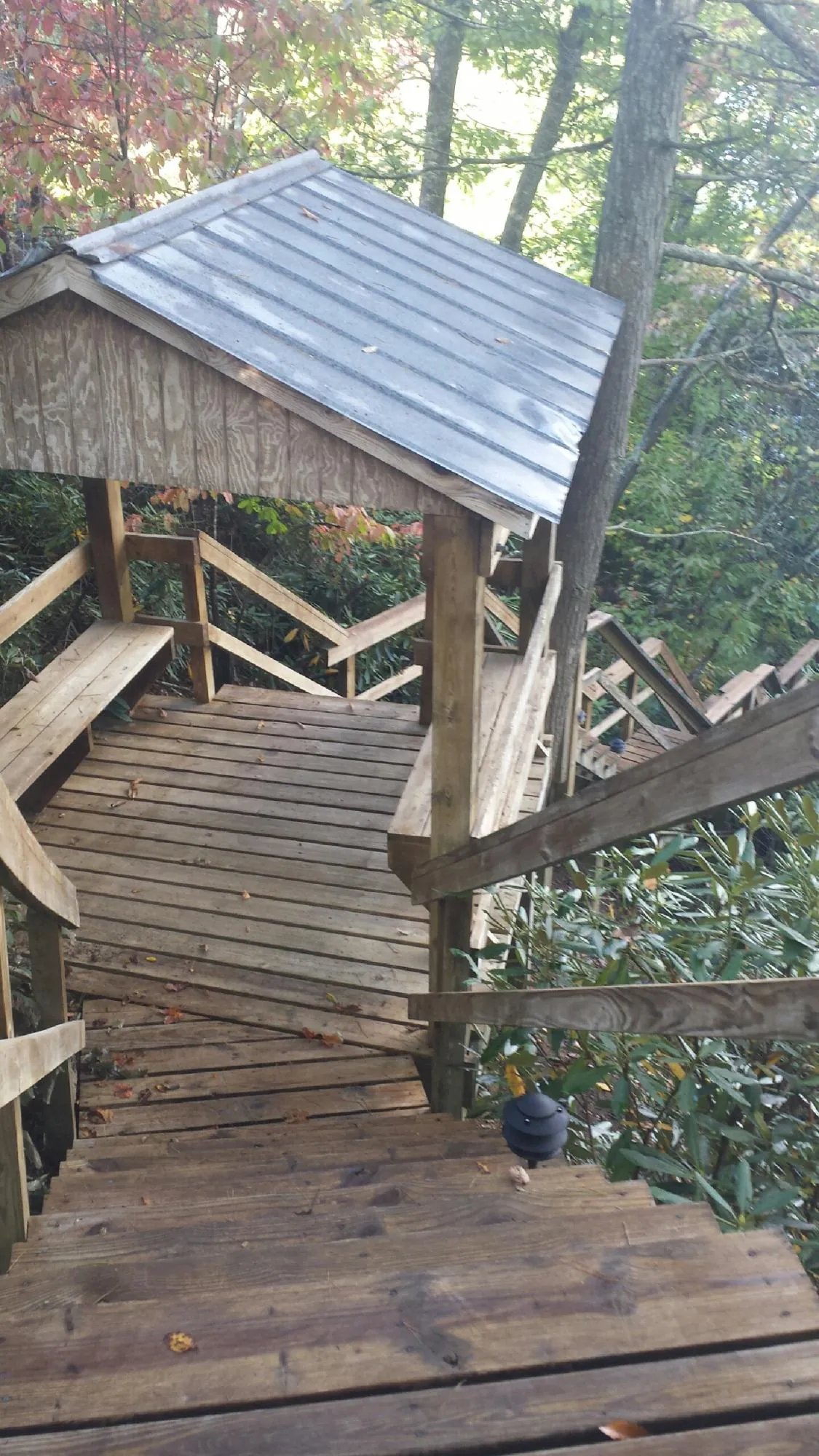 Metal roofed shelter over wooden steps on a wooded walkway — Skylight Repair & Installation work by our crew in Cherry Tree