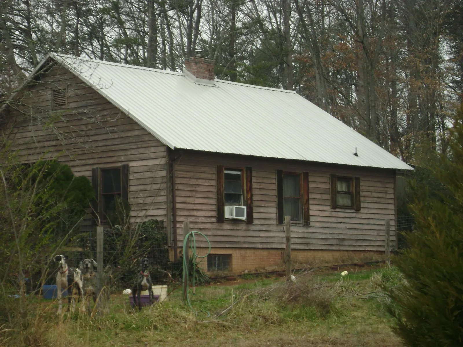 White metal roof on an old wood sided farmhouse, from a Metal Roof Installation job in Cherry Tree